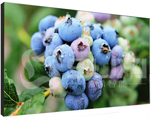 上海液晶拼接屏價格不斷壓低的原因有哪些呢？
